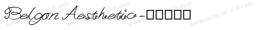 Belgan Aesthetic字体转换